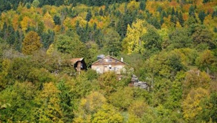 Küre Dağları’nda sonbahar görüntüsü: Renk cümbüşü ile hayran bırakıyor