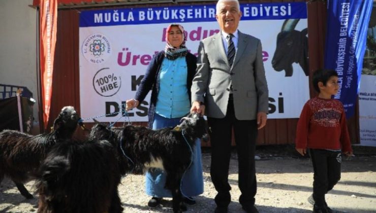 Muğla’da bayan üreticiye kıl keçisi dayanağı