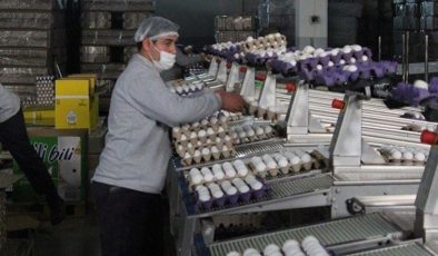 Önlenemeyen yükselişe yumurta üreticisinin açıklaması maliyet artışları ve zincir marketler oldu