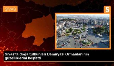 Sivas’ta tabiat tutkunları Demiryazı Ormanları’nın hoşluklarını keşfetti