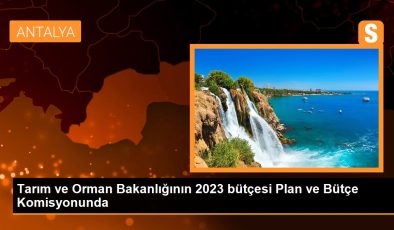 Tarım ve Orman Bakanlığının 2023 bütçesi Plan ve Bütçe Kurulunda