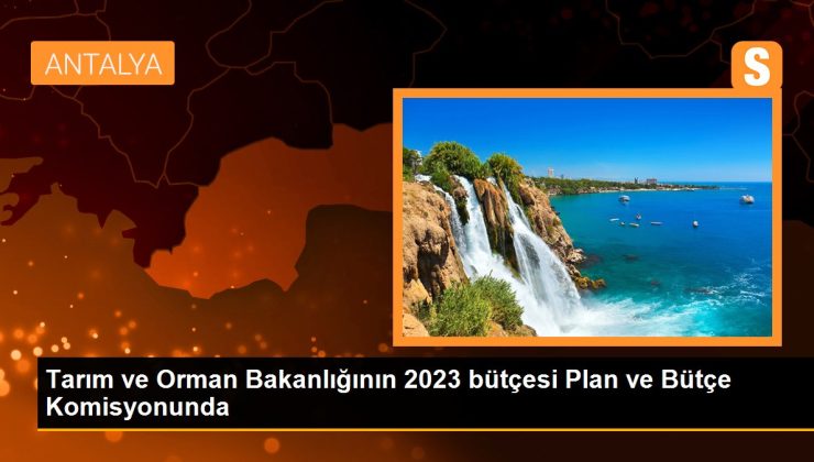 Tarım ve Orman Bakanlığının 2023 bütçesi Plan ve Bütçe Kurulunda