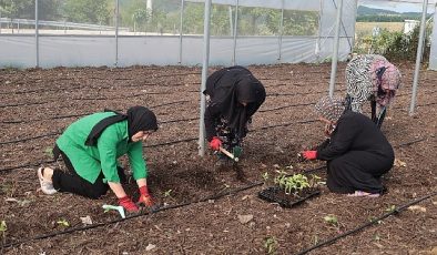 Kocaeli Büyükşehir’den kadın girişimcilere tarımsal destek