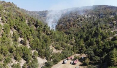 Bolu’daki orman yangını 72 saatin ardından kontrol altına alındı