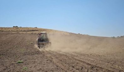 Süphan Dağı eteklerinde ekim başladı: 1 yıl sonra hasat edilecek…