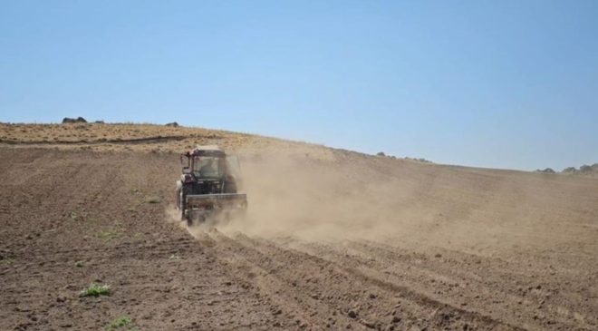 Süphan Dağı eteklerinde ekim başladı: 1 yıl sonra hasat edilecek…