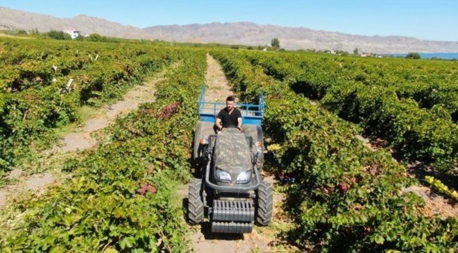 Mühendisliği bıraktı çiftçi oldu: Haftada 3 gün çalışarak 5 mühendis maaşı kazanıyor